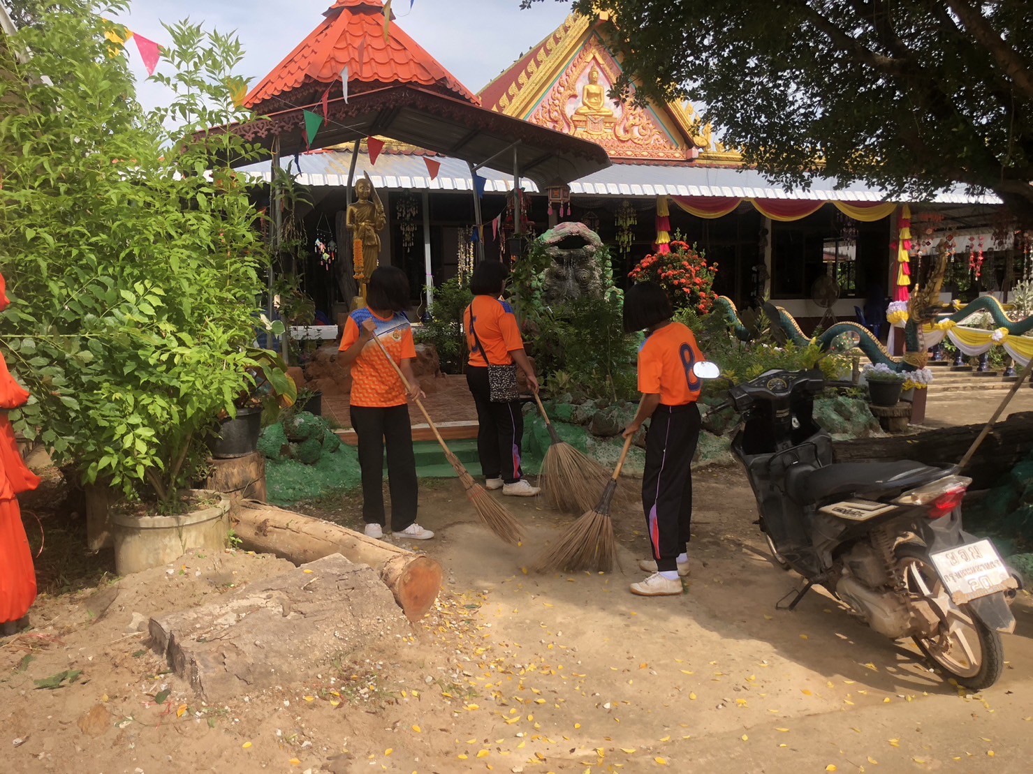 ภาพที่ 24