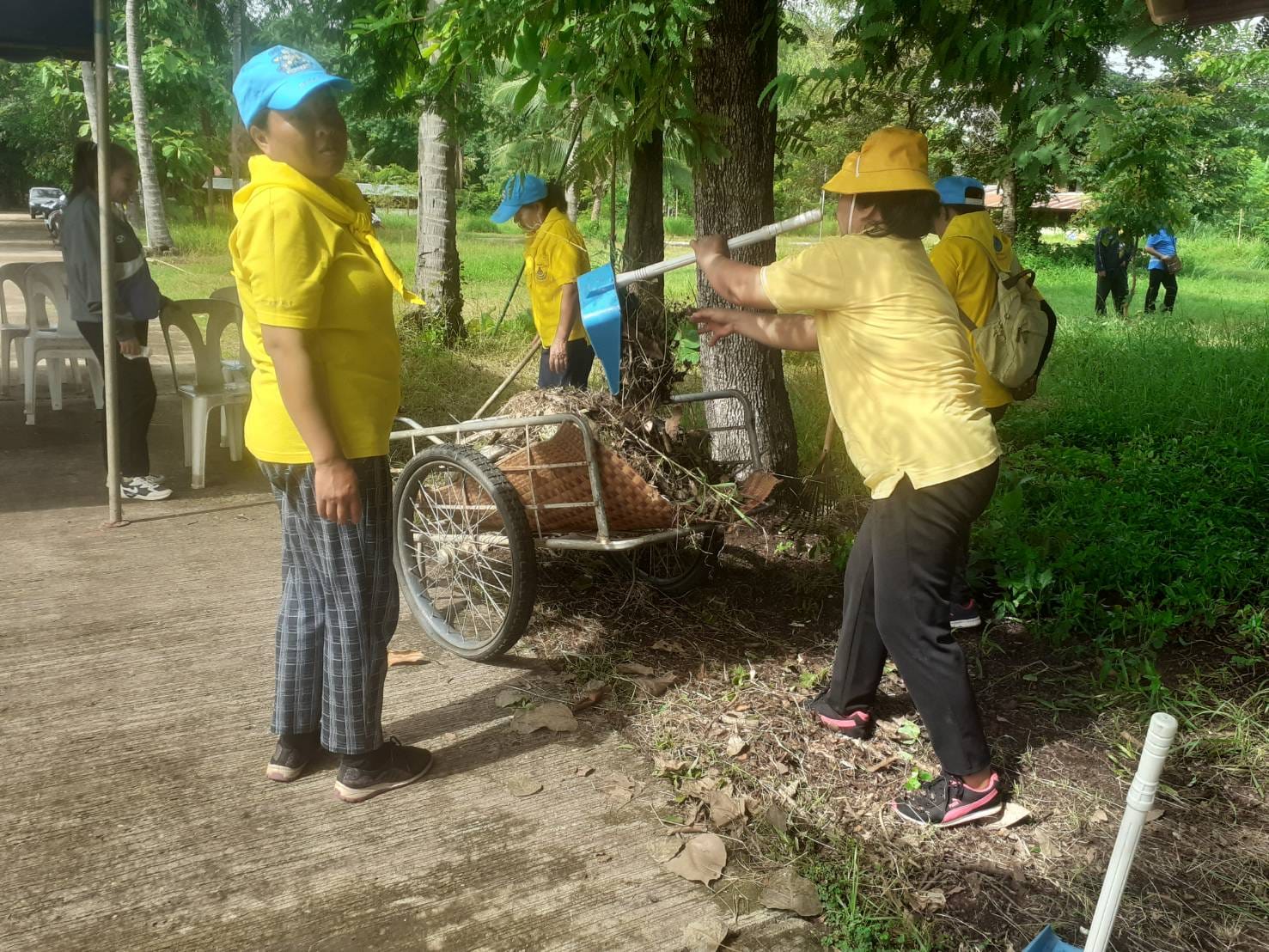 ภาพที่ 14